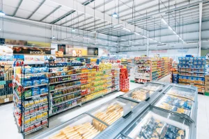 Riding the Growth Tracks: A Deep Dive into Rail Stocks and FMCG Stocks in India